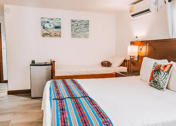 Hotel Drift 3*